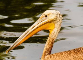 Similar image 11927223