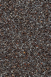 Similar image 11925492