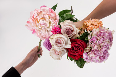 Similar image 11927215