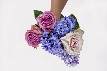 Similar image 11927217