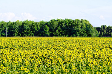 Similar image 11933197