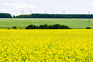 Similar image 11933198