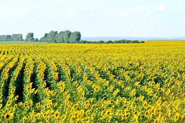 Similar image 11933202