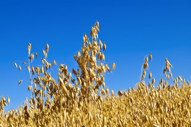 Similar image 11933284