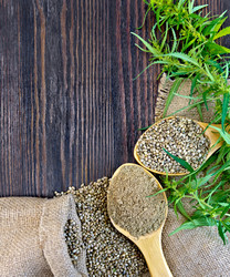 Similar image 11933118