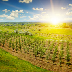 Similar image 11931594