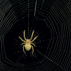 Similar image 11931596