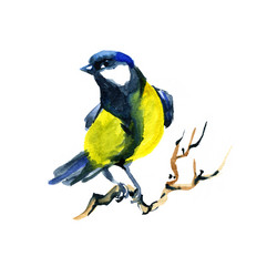 Similar image 11932527