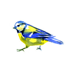 Similar image 11932528