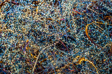 Similar image 11933364