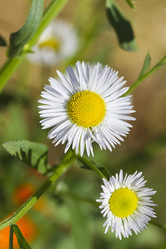 Similar image 11930967