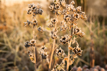 Similar image 11927891