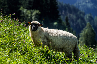 Similar image 11927558