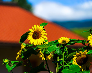 Similar image 11927513