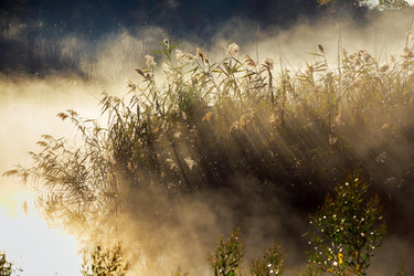 Similar image 11931027