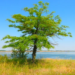 Similar image 11931605