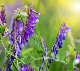 Similar image 11931748