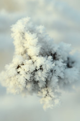 Similar image 11931765