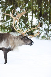 Similar image 11929245