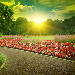 Similar image 11954350