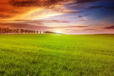 Similar image 11930969