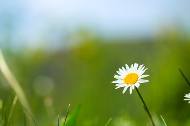 Similar image 11929687