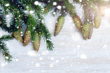 Similar image 11932634