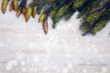 Similar image 11932636