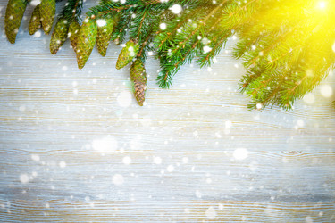 Similar image 11932637