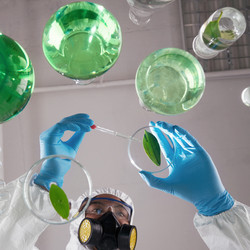 Similar image 11928837