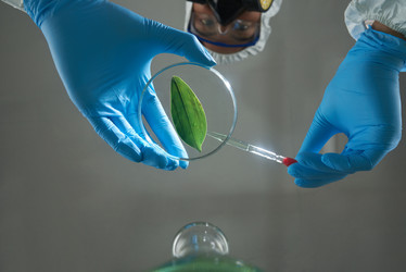 Similar image 11928839