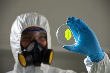 Similar image 11928848