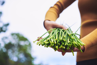 Similar image 11928860