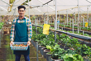 Similar image 11928861