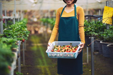 Similar image 11928863