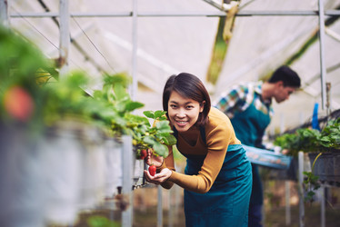 Similar image 11928864