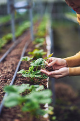 Similar image 11928869