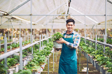 Similar image 11928871