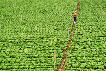 Similar image 11928881