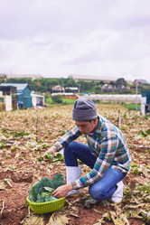 Similar image 11928886