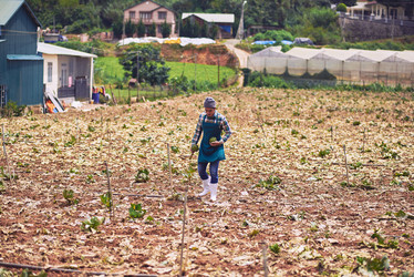 Similar image 11928887