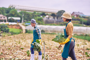 Similar image 11928891