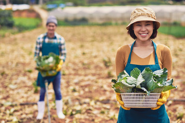 Similar image 11928892