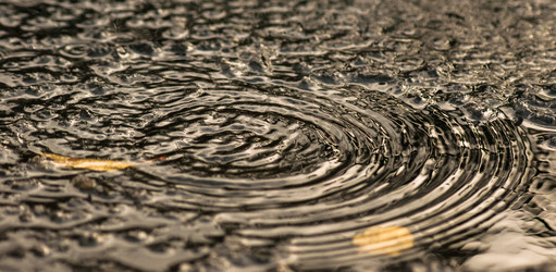 Similar image 11929662