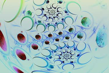 Similar image 11948077