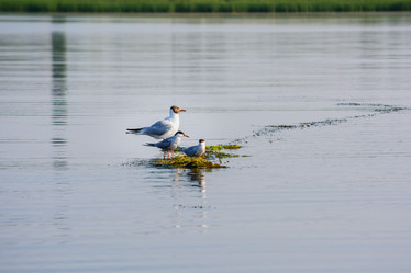 Similar image 11929719