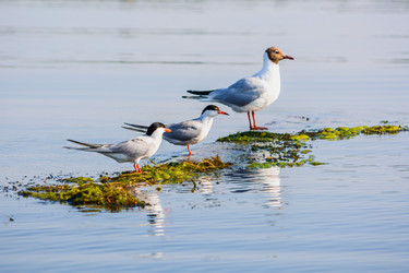 Similar image 11929720