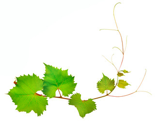 Similar image 11931610