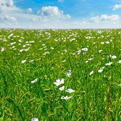 Similar image 11931612