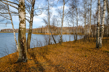 Similar image 11930987